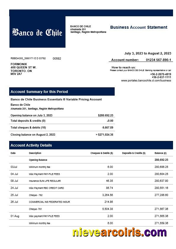 Banco de Chile organization statement